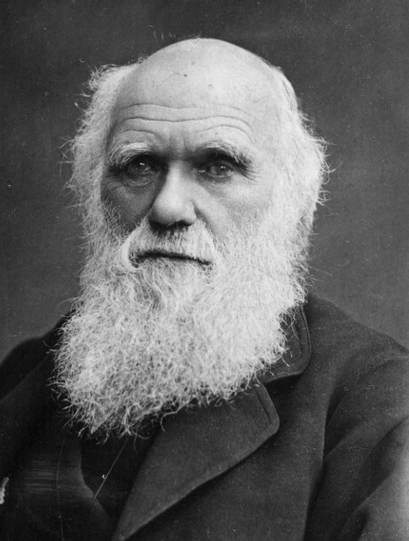 Darwin’s Theory of Natural Selection   and How Did It Start?